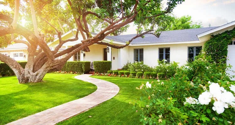 Castle Hills, TX City Guide: Best Neighborhoods, Schools & Commutes